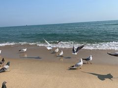 -海云台海滩