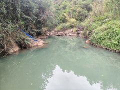 -广州白江湖森林公园