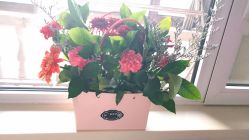 -安悦国际母婴中心(月子会所)