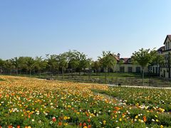 -歌斐颂巧克力小镇