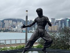 -星光大道