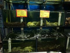 -蚝专家(北滘店)