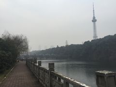 -食膳公园包子铺(烈士公园店)