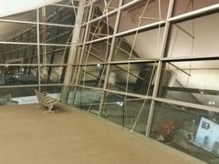 -老边饺子馆(北京南站3店)