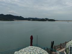 -望湖烤鱼