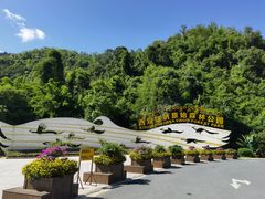 -西双版纳原始森林公园