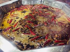 -杨肥肠火锅大排档(火车站花园店)