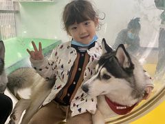 -Husky Go! 哈士奇体验馆·宠物咖啡厅狗咖