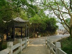 -羚羊峡古栈道森林公园