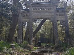 -平湖九龙山旅游度假区
