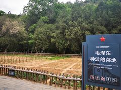 -延安杨家岭革命旧址