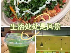 -油梨树AVOCADO TREE(望京店)