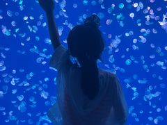 -江和美海洋公园