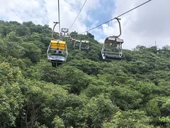 -富斯特索道