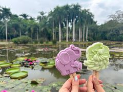 -中国科学院西双版纳热带植物园