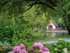 -上海共青森林公园