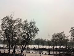 -绿堤公园