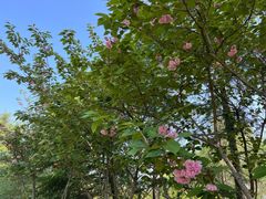 -合肥三国新城遗址公园