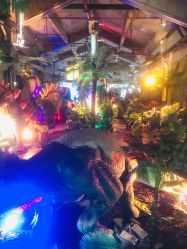 -恐龙探索乐园(磁器口店)