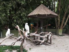 -上海野生动物园