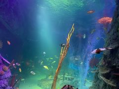 -沈阳海洋探索中心