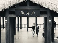 -枫香湖儿童公园