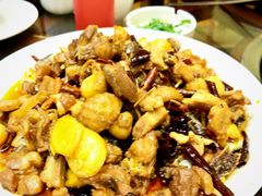 -志晖园圆子鸡·辣子鸡(阳光店)