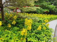 -顺联广场(陈村店)