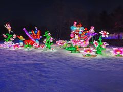 -沈阳奥体冰雪嘉年华