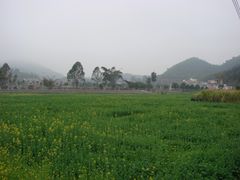 -红山村
