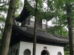 -汇龙潭