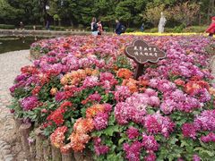 -庐山风景区花径公园