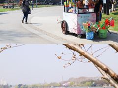 -Beans Solo豆号咖啡(百家湖花园店)