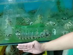 -钱塘府海鲜餐厅