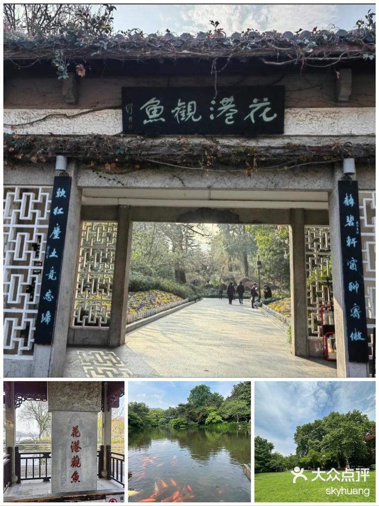 6 6 / 6 打开app查看高清大图 skyhuang 5月9日 18:43 关注 花港观鱼