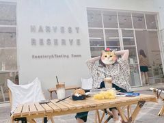 -收获咖啡HARVEST RESERVE(苍山店)