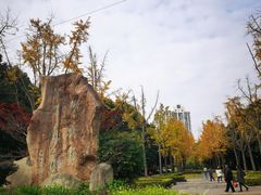 -苏州河梦清园环保主题公园