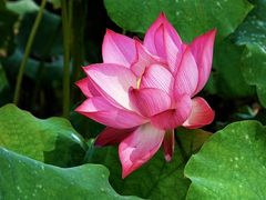 -野鸭湖国家湿地公园