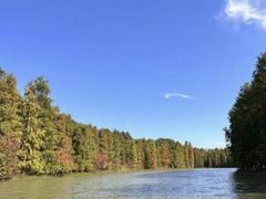 -上海海湾国家森林公园