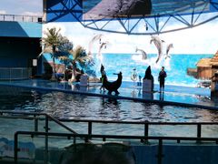 -石林冰雪海洋世界