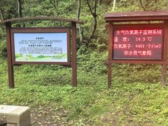 -牛背梁国家森林公园