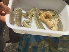 -蓝珊甄选海鲜自助·火锅大排档(近阿那亚店)