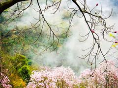 -九皇山景区