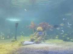 -常州海昌海洋探索馆