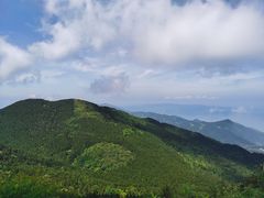 -武陵山森林公园