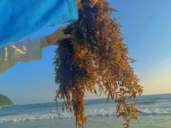 -西涌国际滨海旅游区