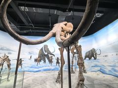 -辽宁古生物博物馆
