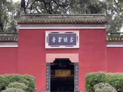 -子昂故里文化旅游区