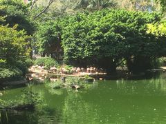 -九龙公园