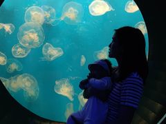 -成都浩海立方海洋公园